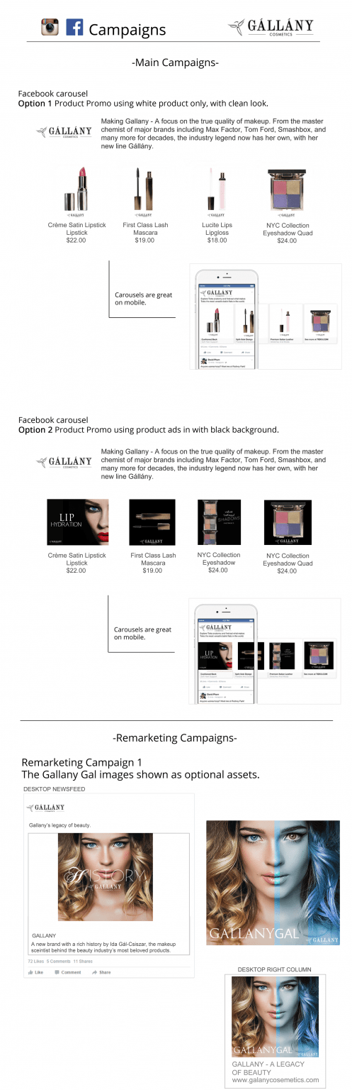 Campaign Planning Presentation