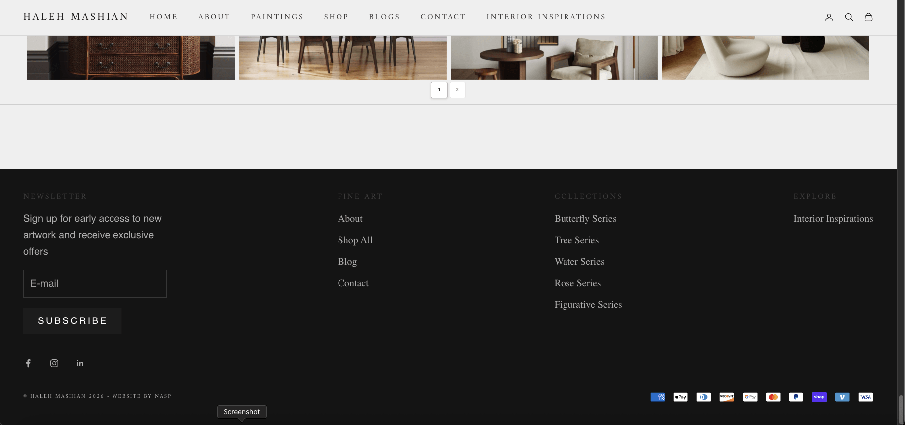 Shopify web development with payment icons displayed as trust badges by Paris Nasseri